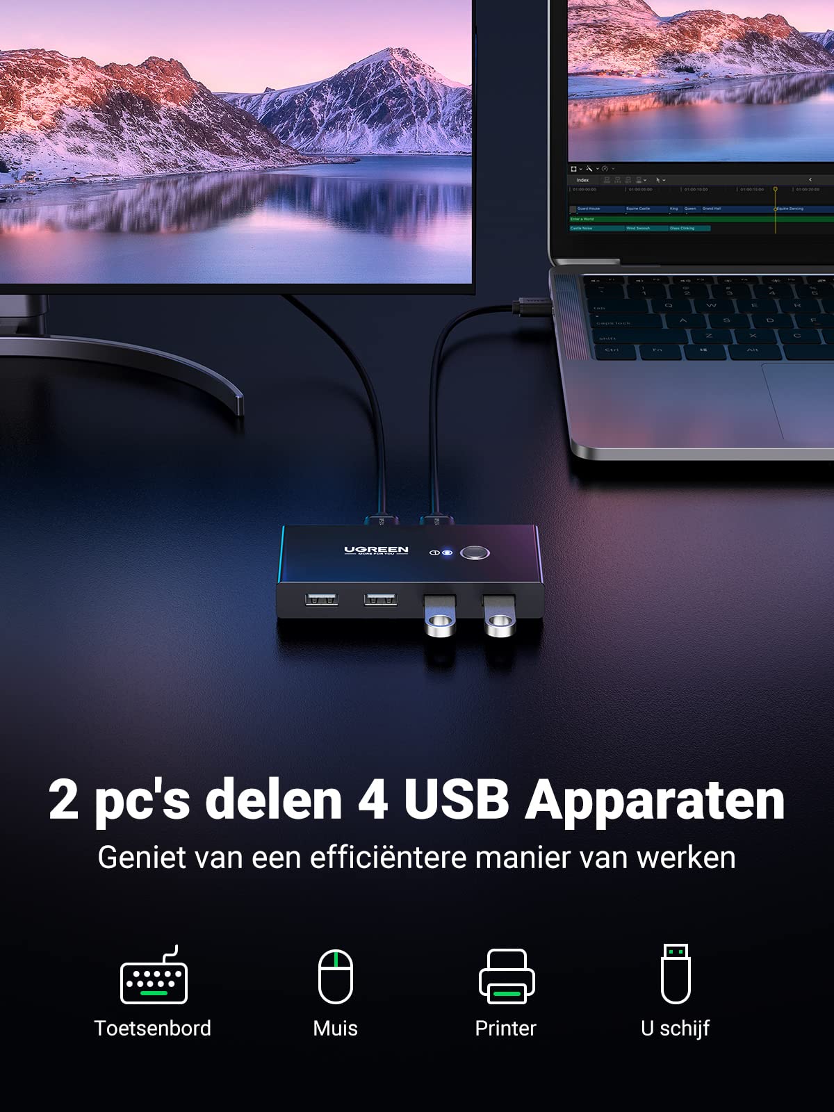 Miniatuur 2
